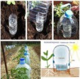 /album/maneras-de-reciclar/a5717-428106277276882-553220086-n-jpg1/