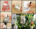 /album/maneras-de-reciclar/a525204-426875670733276-874034633-n-jpg1/