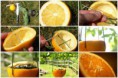 /album/maneras-de-reciclar/a533226-427314184022758-1846391698-n-jpg1/