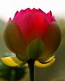 /album/fotogaleria/a59779-516309911752618-1534374213-n-jpg1/