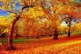 /album/fotogaleria/a541593-515980575118885-705297140-n-jpg/